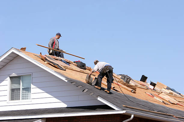 Best Skylight Installation and Repair  in Port Isabel, TX